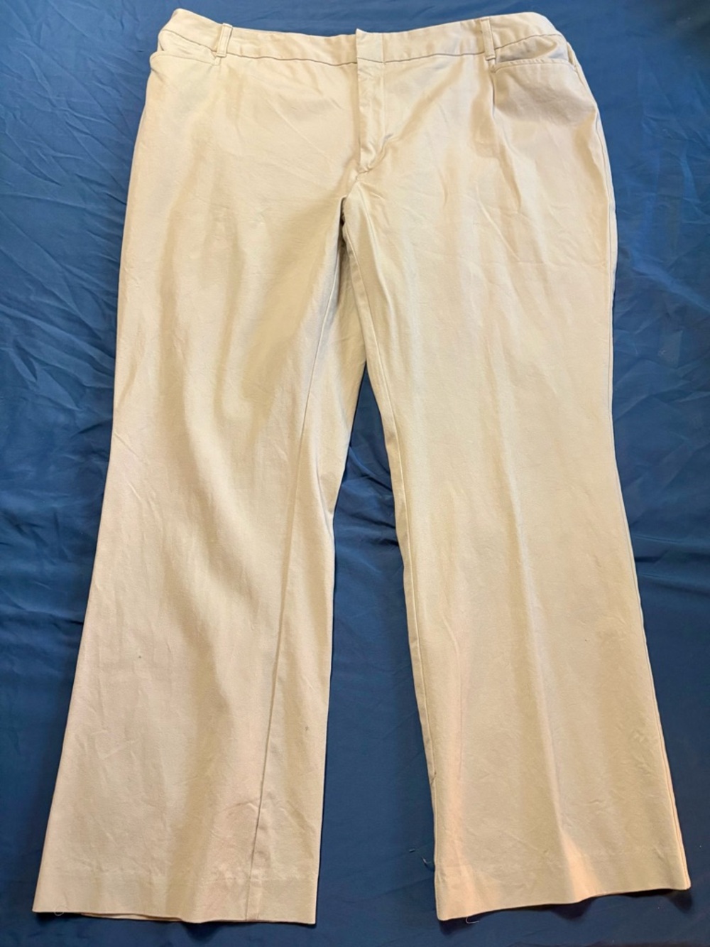 Women’s Beige Dress Pants